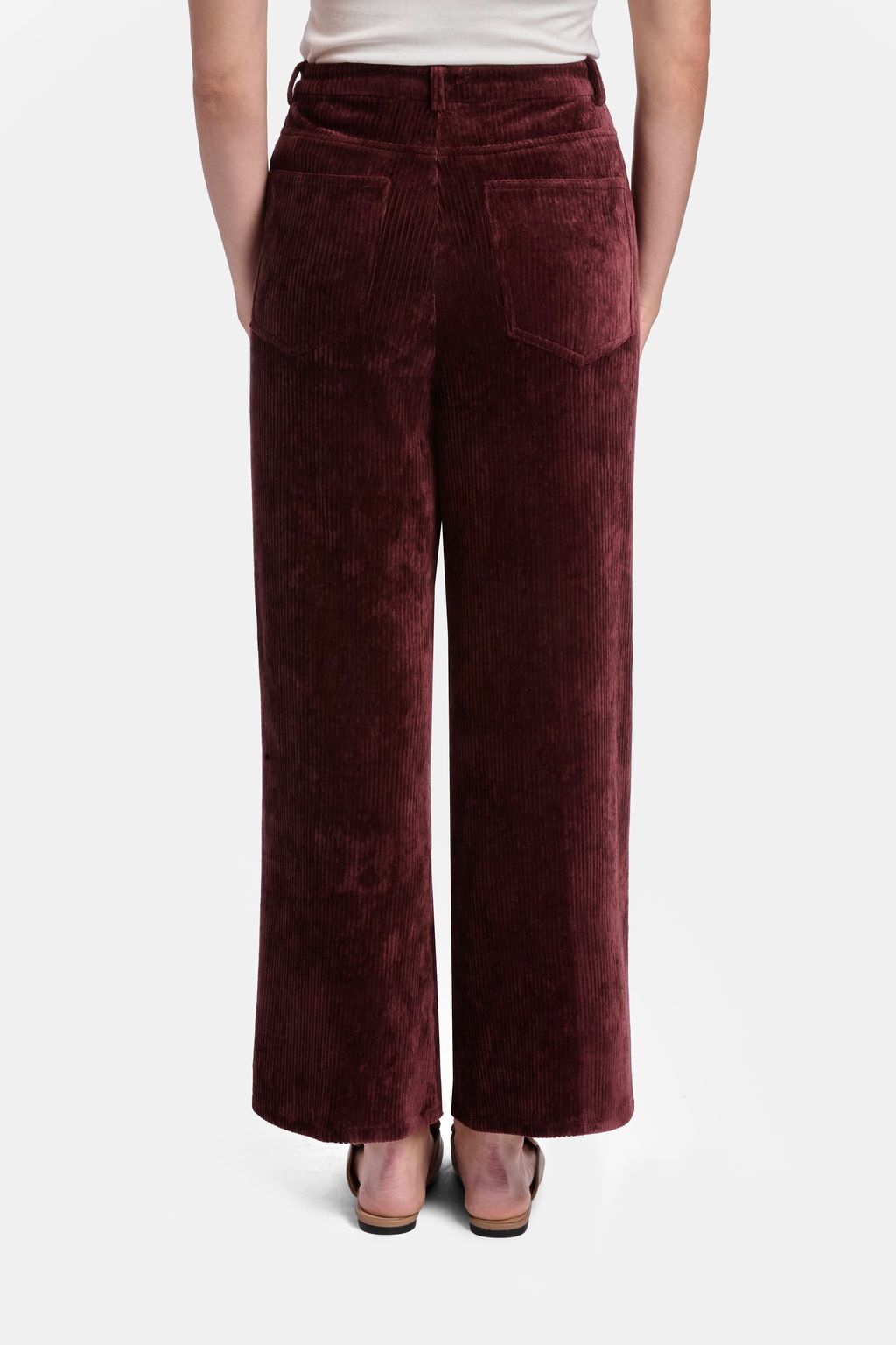 THE ROVER PANT